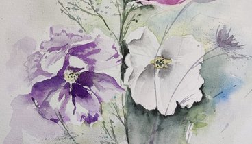 Aquarell_Cosmea