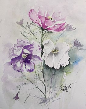 Aquarell_Cosmea
